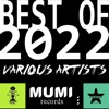 Fills Monkeys Monkey's Summer (feat. Francesco Imbriaco) Best of 2022, Mumi - Squid - Starfish Records