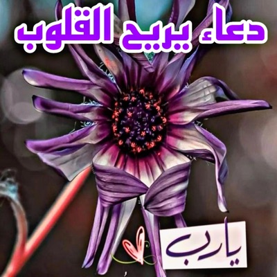 أدعية دينية وتلاوة القرآن الكريم - ربي كن معي _ دعاء يريح القلوب