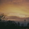 Something in the Orange - Single