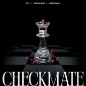 CHECKMATE artwork