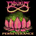 Perseverance