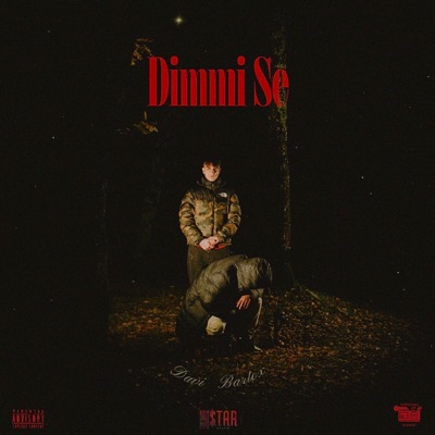 Dimmi Se - Single