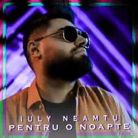 Pentru o noapte — Iuly Neamtu