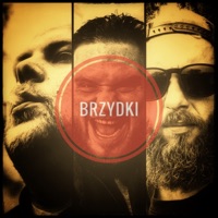 Brzydki - Single - Bartek KOKO, Prykson Fisk & Tobik