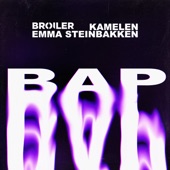 Broiler - BAP