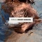 In Your Head (feat. Lubna Maher) - Arhkota lyrics