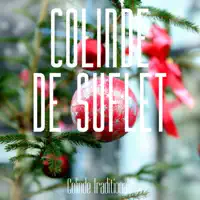 Anul Nou Cu Bucurie — Raoul