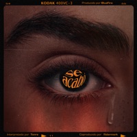 Se Acabó (feat. Bluefire) - Single - Tonre, Flidermark & El Califato