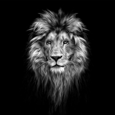 Lion - Single