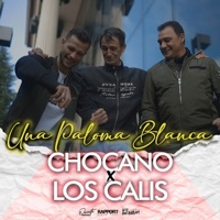 Una Paloma Blanca - Single - Chocano & Los Calis