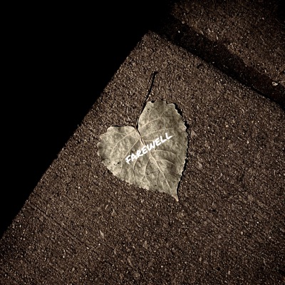 Farewell - Single