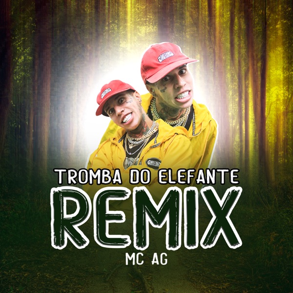 Tromba do Elefante (Remix)