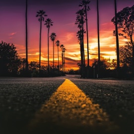 Back In the Day Notis