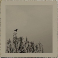 Why Do U Lie? - Single - Tatzu