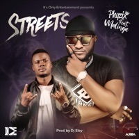 Streets (feat. Malinga) - Single - Phyzix