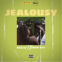Jealousy (feat. Cwesi Kay) - Single - Xnaiq