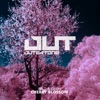 Cherry Blossom - Single