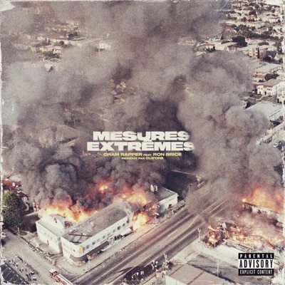 Mesures Extrêmes (feat. Ron Brice) - Single