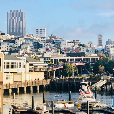 Summer Shandy - Single