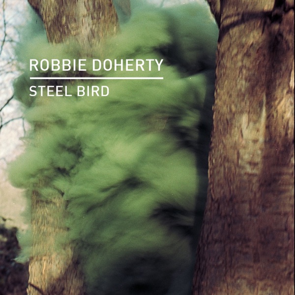 Steel Bird - Single - Robbie Doherty