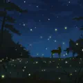 Field of Fireflies