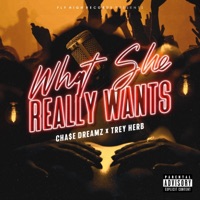 What She Really Wants (feat. treyherb) - Single - Cha$e Dreamz