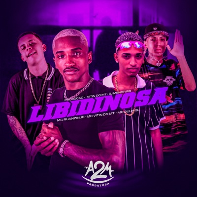 Libidinosa (feat. DjMenorRB) - Single