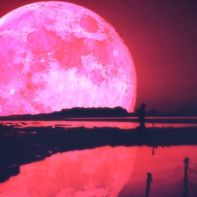 Orion (feat. Sigh-Lee) - Single