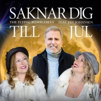 Saknar dig till jul (feat. Jan Johansen) - Single - The Flying Bumblebees