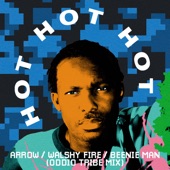 Hot Hot Hot (Oddio Tribe Remix) artwork