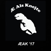ÆAK '17 artwork