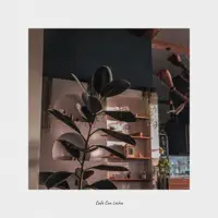 Cafe Con Leche — Lé Mon
