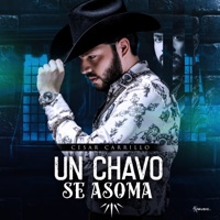 Un Chavo Se Asoma - Single - Cesar Carrillo