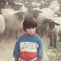 Never Not Sunday - Single - Tom Rosenthal