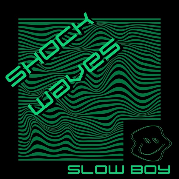 Shock Waves