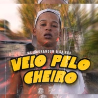 Veio pelo Cheiro - Single - Mc chorandun, DJ RF3 & Medley de Rua