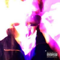 Фармацевт - Single - Vins