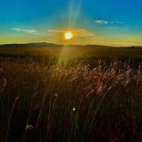 Better Days - Single - Matt Coro