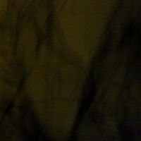 Talk That - Single - PEDLER & Harrison Noble