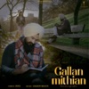 Gallan Mithian - Single