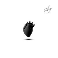 Why - Single - Saksham & ASLI DEVIL