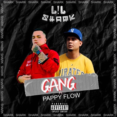 Gang (feat. Papy flow) - Single