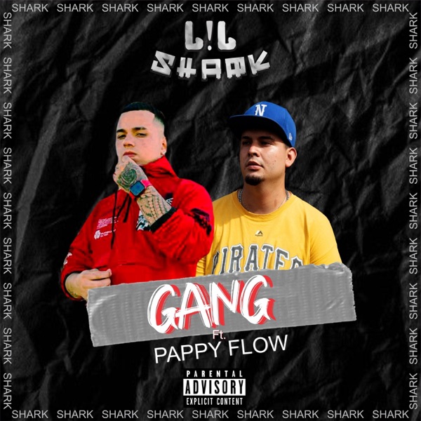 Gang (feat. Papy flow)