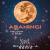 Abaningi (feat. 2GS, Meldow & Dlala LA) [Remix] - Single