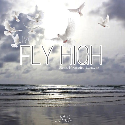 Fly High (feat. Buda) - Single