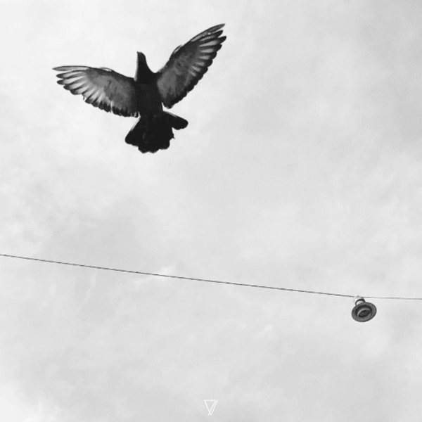Let Go - Single