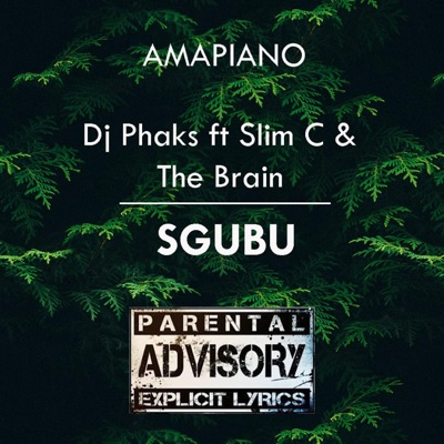 Sgubu (feat. Slim C & The Brain) [Radio Edit] - Single