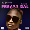 Freaky Gal - Single