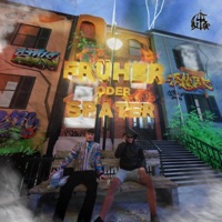 Früher oder Später '2021 (Mixtape) - YLGX & Reyez