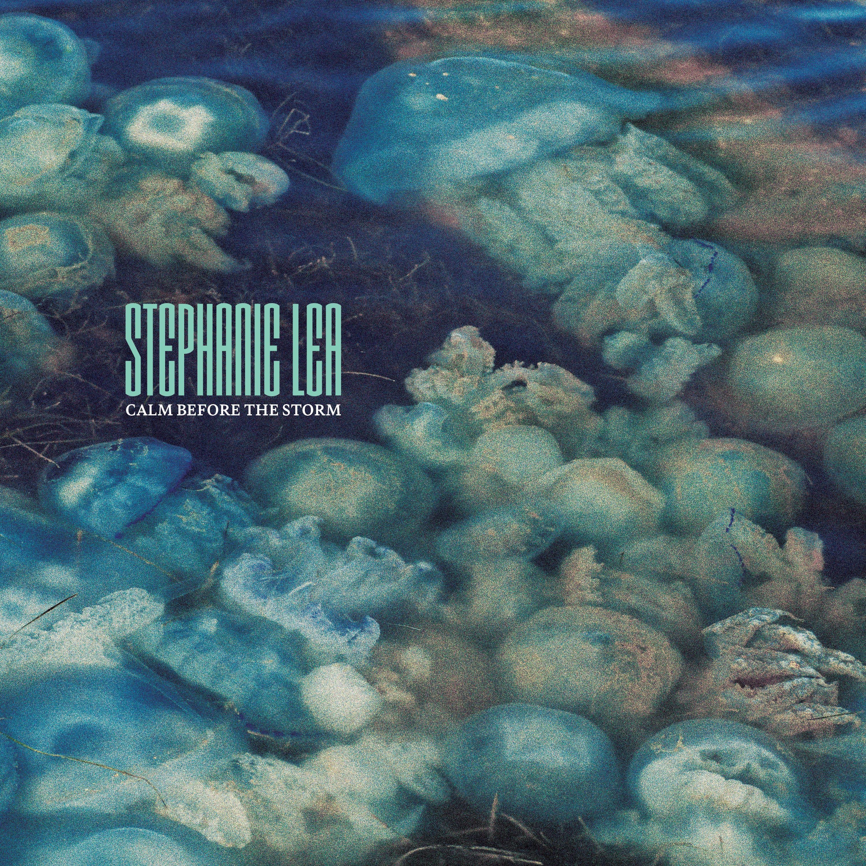 Calm Before the Storm - Single